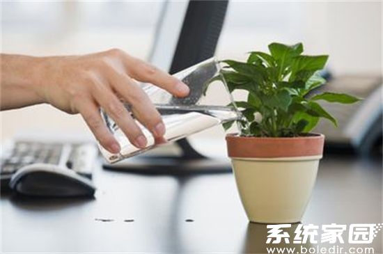 降低电脑辐射技巧