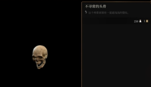 博德之门3飞龙监狱头骨解谜机制解析