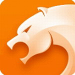 猎豹安卓浏览器免费下载v5.28.1 最新版