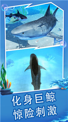 u6d77u5e95u5927u730eu6740u8054u673au7248u65e0u654cu7248