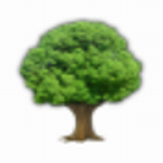 Scratchboard中文版高效数据管理工具推荐