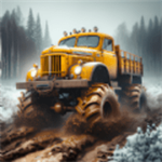 重卡驾驶高手全解锁畅玩版下载v189.1.1 内置菜单版