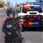 模拟警察巡逻真实中文版