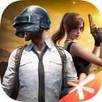 和平精英畅玩版特色功能与用户反馈