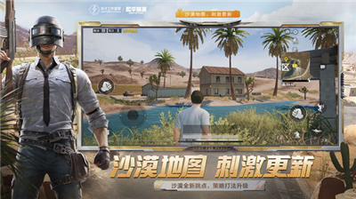 和平精英隐身上线设置教学指南
