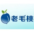 电脑系统重装工具老毛桃